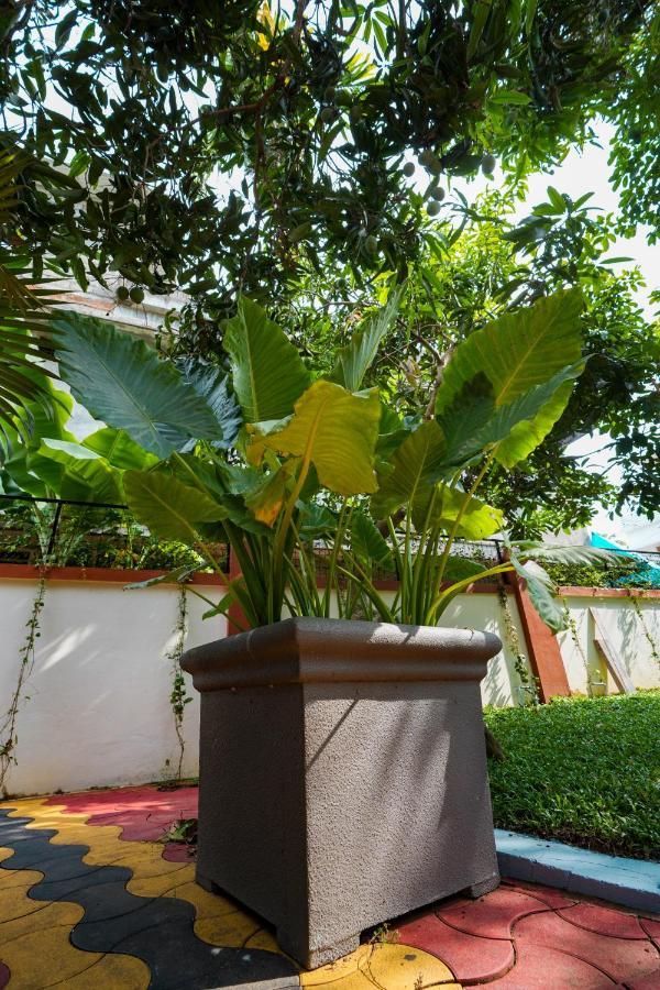 Parudeesa - Heavenly- Luxurious Palace Look-Near Cbd - Kerala - India With Breakfast Kāladi Extérieur photo